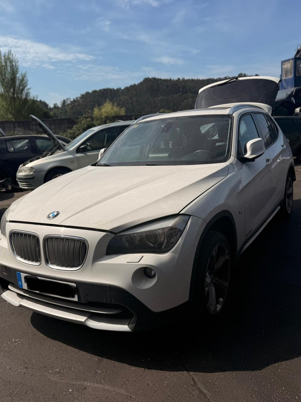 LLANTAS BMW X1 E84 Sdrive 2.0TD 2010
