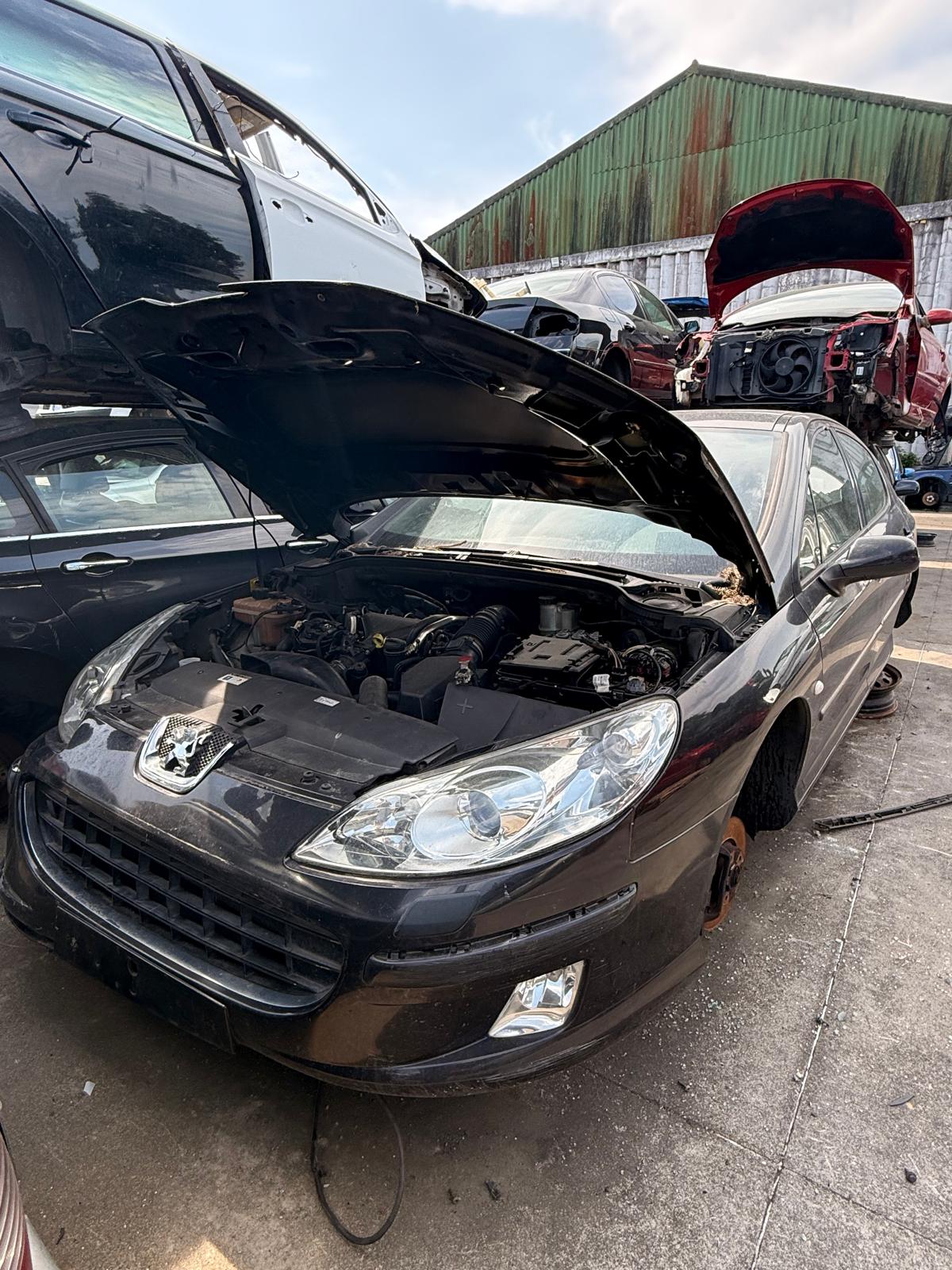 PEUGEOT 407 BERLINA (2004–2011)